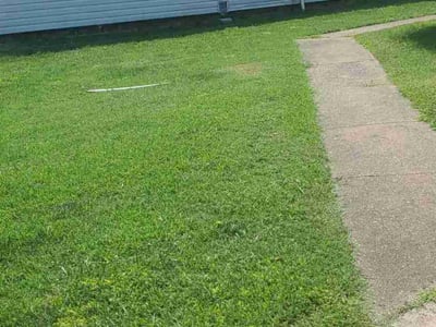 Lawn Care service in Harrisonburg, 22802