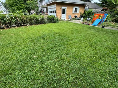 Lawn Care service in Norwood, 45212