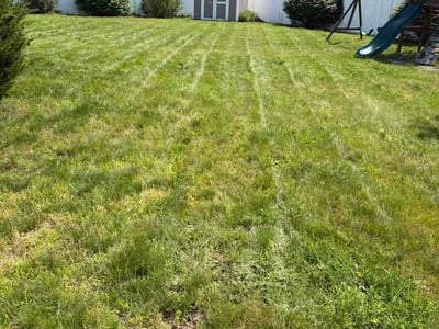 Lawn Care service in Bath, 04530