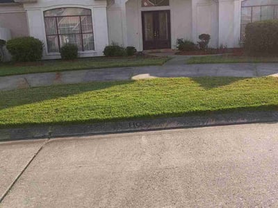 Lawn Care service in Harvey, 70058
