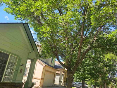 Lawn Care service in Big Bear Lake, 92315