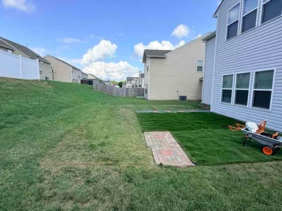 Lawn Care service in Randleman, 27317
