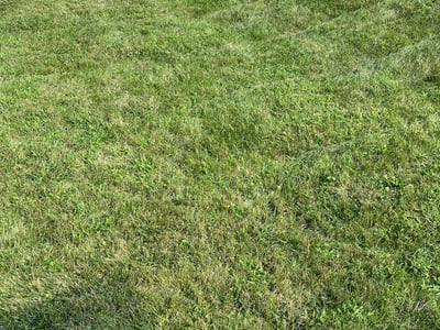 Lawn Care service in South Brunswick, 08852
