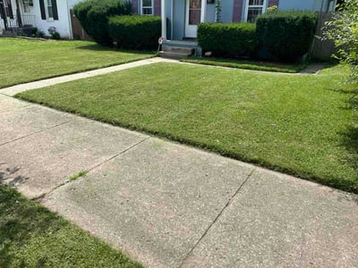 Lawn Care service in Springfield, 45502