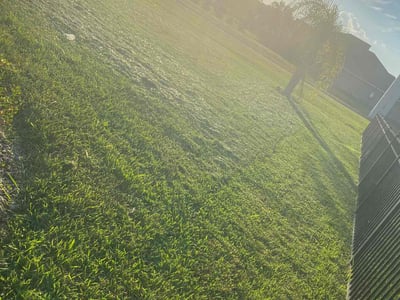 Lawn Care service in Westford, 01886