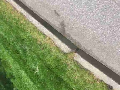 Lawn Care service in North Providence, 02911