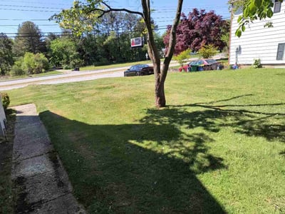 Lawn Care service in Dover, 19904