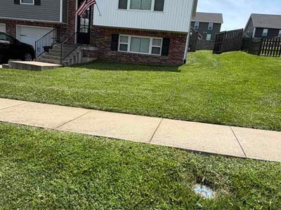 Lawn Care service in Radcliff, 40160