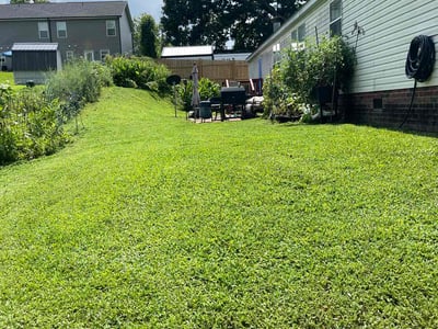 Lawn Care service in Kannapolis, 28083