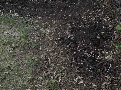 Lawn Care service in Hendersonville, 28792