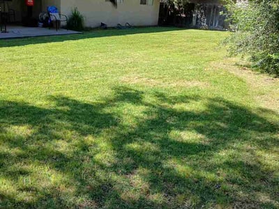 Lawn Care service in Fresno, 93721