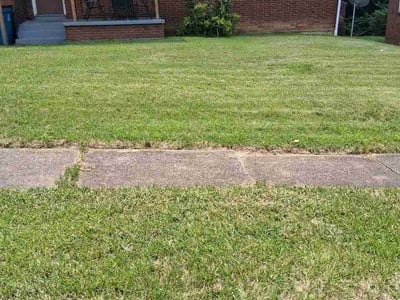 Lawn Care service in Brainerd, 56401