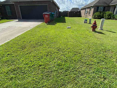 Lawn Care service in Denham Springs, 70726