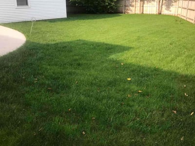 Lawn Care service in Eau Claire, 54701