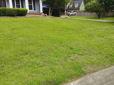 Lawn Care service in Ballantyne, 28277
