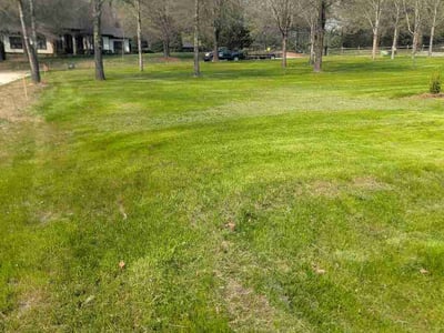 Lawn Care service in Ballantyne, 28277
