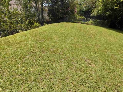 Lawn Care service in Pelham, 35124