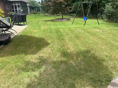 Lawn Care service in Pelham, 35124