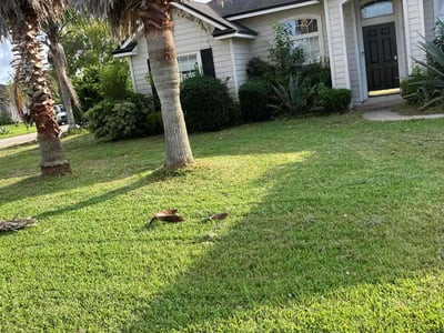 Lawn Care service in Abington, 02351