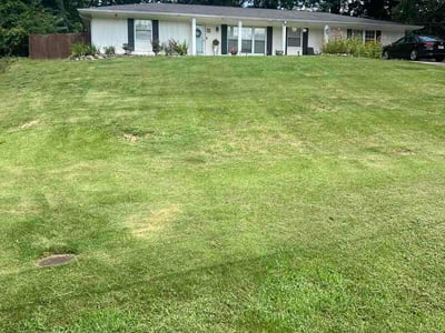 Lawn Care service in Vestavia Hills, 35216