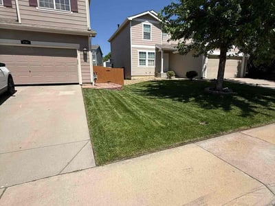 Lawn Care service in Grand Junction, 81501