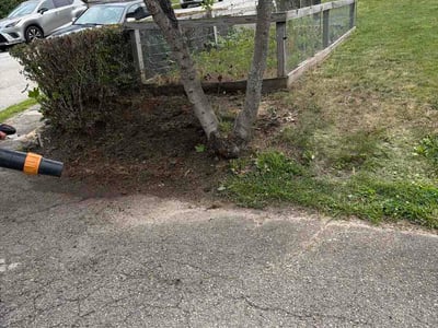 Lawn Care service in Duquesne, 15110