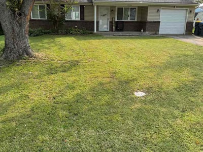 Lawn Care service in Duquesne, 15110