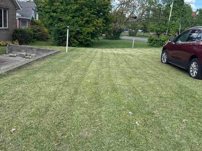 Lawn Care service in Uniontown, 15401