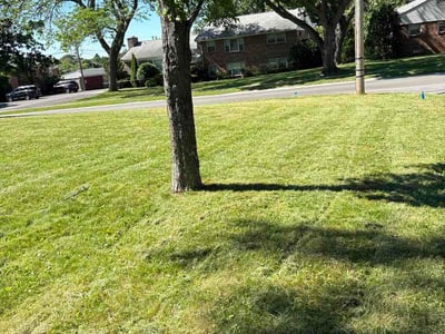Lawn Care service in Henrietta, 14467