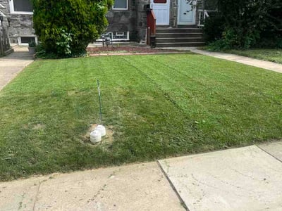 Lawn Care service in Drexel Hill, 19026