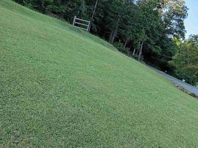 Lawn Care service in Homewood, 35209