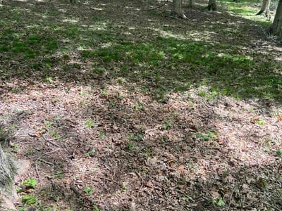 Lawn Care service in Carmel, 46032