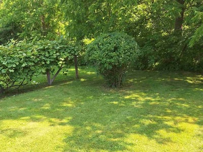 Lawn Care service in Camillus, 13031