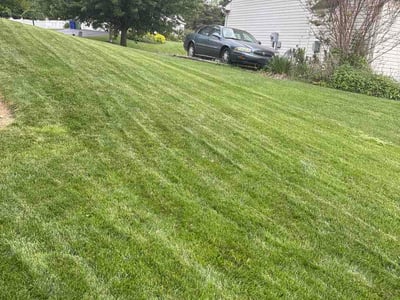 Lawn Care service in York, 17401
