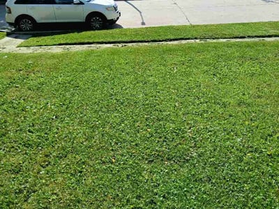Lawn Care service in West Allis, 53214