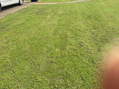 Lawn Care service in Pell City, 35125