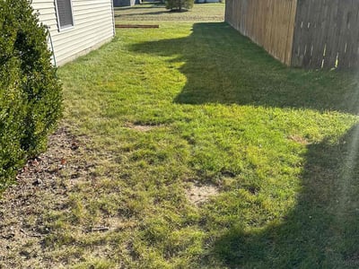 Lawn Care service in Terre Haute, 47807
