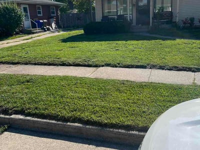 Lawn Care service in Kenosha, 53140
