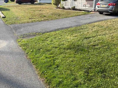 Lawn Care service in Camp Hill, 17011