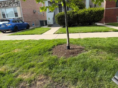 Lawn Care service in Algonquin, 60156