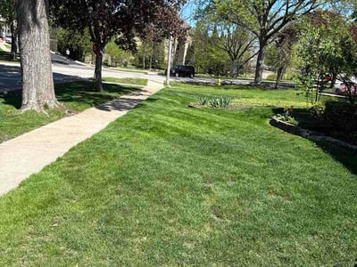 Lawn Care service in Algonquin, 60156