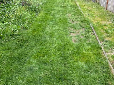 Lawn Care service in Redmond, 98052