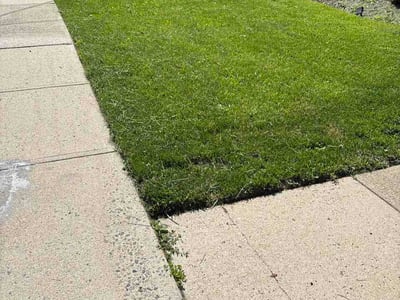 Lawn Care service in Parsippany, 07054