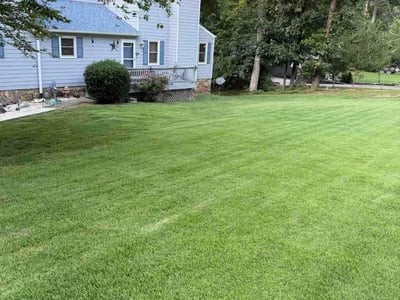 Lawn Care service in Tucker, 30084