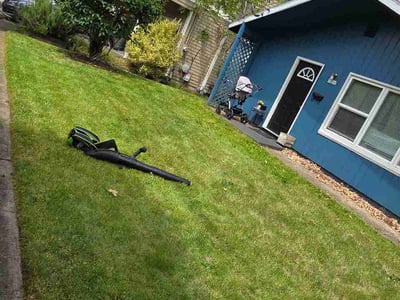 Lawn Care service in West Linn, 97068