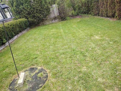 Lawn Care service in Greendale, 53129