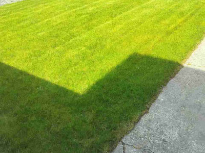 Lawn Care service in Lake Stevens, 98258