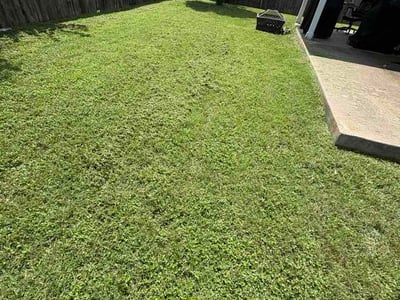 Lawn Care service in Smithville, 78957
