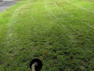 Lawn Care service in New Holland, 17557