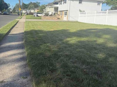 Lawn Care service in Trenton, 08608